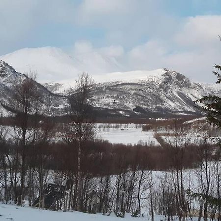 Best Of Lyngen Panorama Apartment Lyngseidet Exterior foto