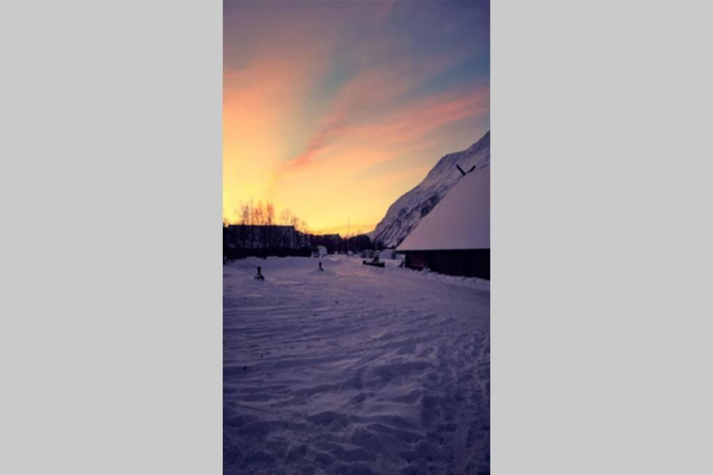 Best Of Lyngen Panorama Apartment Lyngseidet Exterior foto