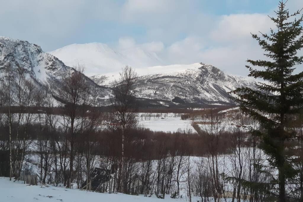 Best Of Lyngen Panorama Apartment Lyngseidet Exterior foto