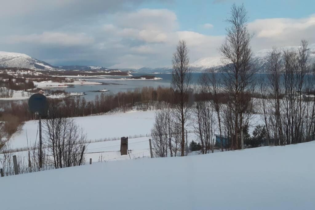Best Of Lyngen Panorama Apartment Lyngseidet Exterior foto