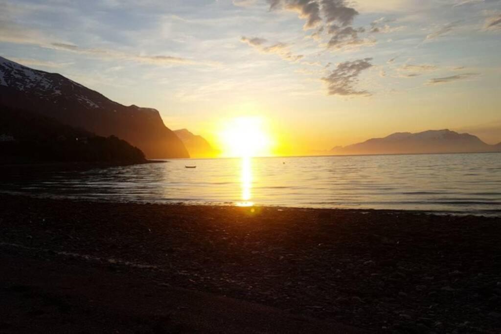 Best Of Lyngen Panorama Apartment Lyngseidet Exterior foto